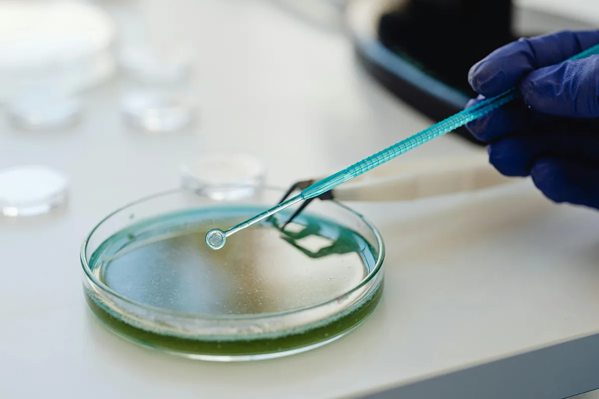 biotech dish biotech dish