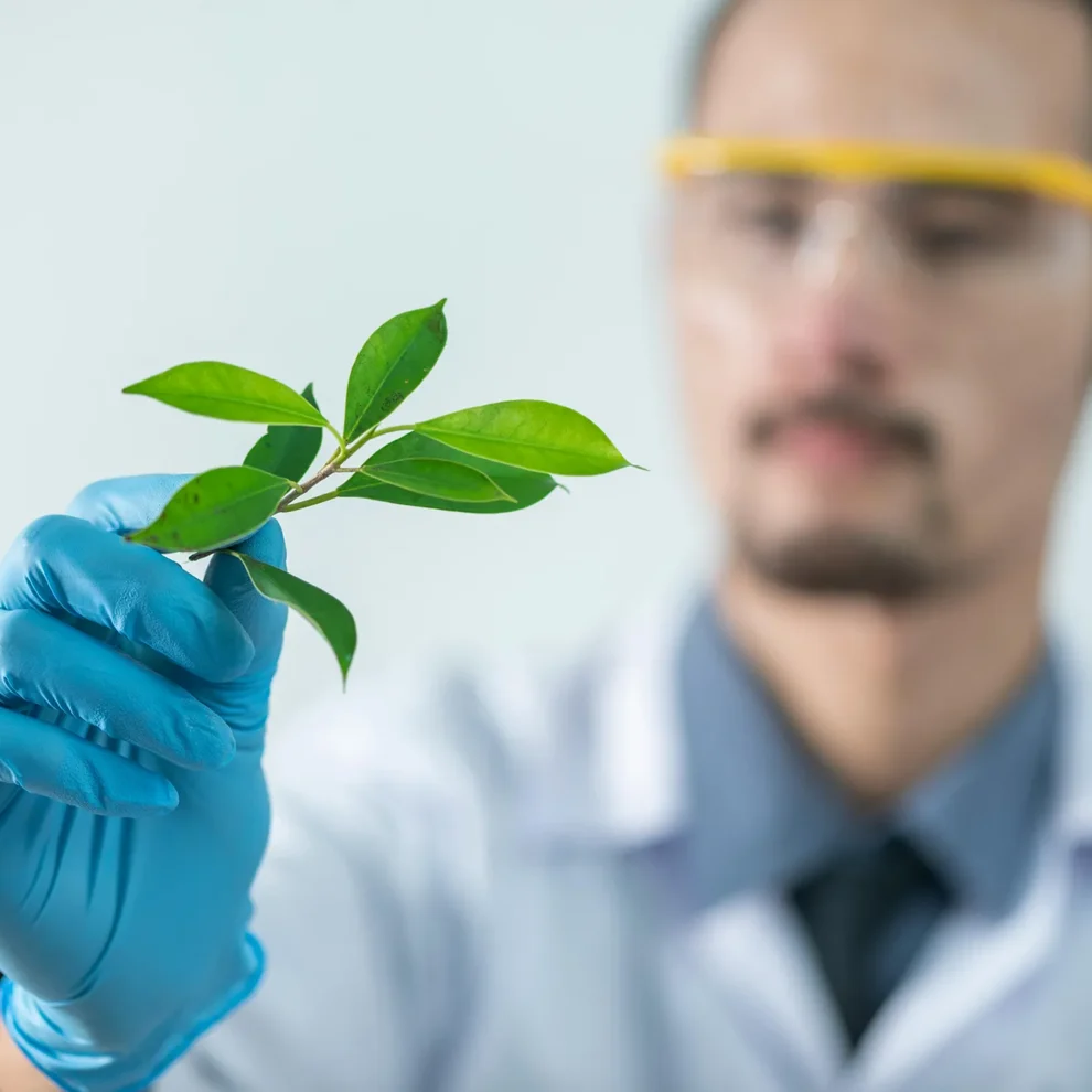 biotech job outlook biotech job outlook