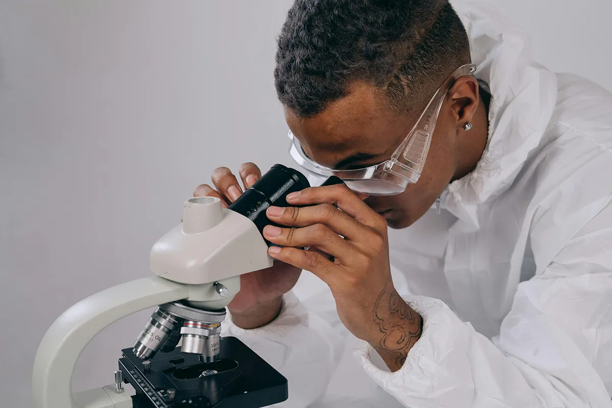 looking microscope looking microscope